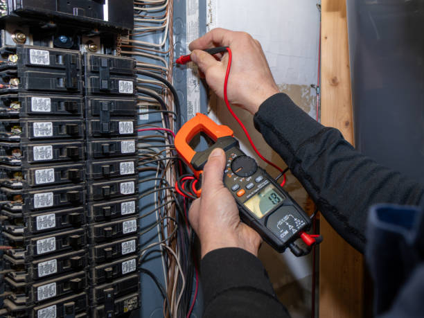 Best Ceiling Fan Installation Electrician  in Guadalupe, CA